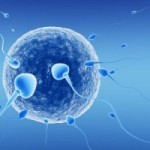 ivf-fertilization-200×200